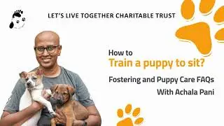 How to train a puppy to sit? | Puppy Training FAQs with Achala Pani | Let&rsquo;s Live Together