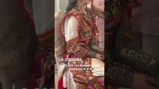 #kabylie #mariage #kabylemusique #dance #chansonkabyle #dancer #robekabyle #kabyle