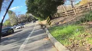 Lectric XP4 750 Los Angeles Neighborhood EBilke Short Ride 01-08-2026