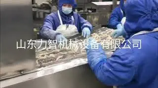 Automatic Chicken fingers breading and battering machine production line