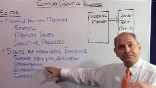 Complex Cognitive Processes Part 1 - Transition from Simple to Complex