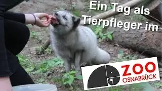Tierplfeger im Zoo Osnabrück - Svenja auf Mission I Teil 1