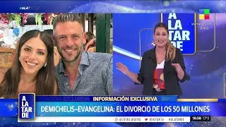 💣ANDERSON-DEMICHELIS: EL DIVORCIO DE LOS 50 MILLONES DE DÓLARES