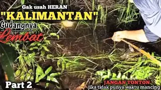 KALIMANTAN MEMANG GUDANG NYA IKAN || MANCING LEMBAT LELE MALAM HARI PART 2
