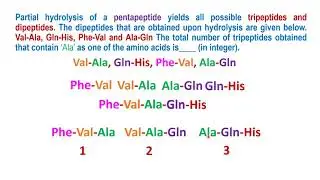 Partial hydrolysis and peptide sequence - numerical solved - GATE 2025