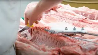 Meat Cutting - Program Overview