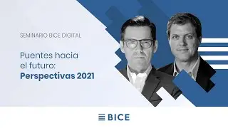 Webinar | Puentes hacia el Futuro, 