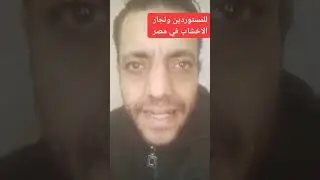 هام للمستوردين وتجار الاخشاب في مصر 