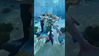 When Mermaids &ldquo;get together&rdquo; 🧜&zwj;♀️ #finfolkproductions #mermaid #mermaidcosplay