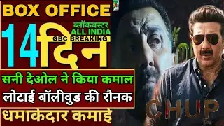 Chup 14th day box office collection,Sunny Deol interview,chup box office Collection,chup hit or flop