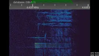 UVB-76 voice message with Swan Lake playing in the background on day 19.01.2026