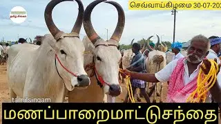 Manapparai Mattusanthai/ வண்டிப்பழக்கம் ஏர் பழக்கம் கொண்ட வண்டி மாடுகள் விலை நிலவரம் #cow #bull