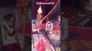 Alakh Niranjan #mahakumbh2025 #baba #sadhu #alakhniranjan #bhakti #trending #shorts #reels