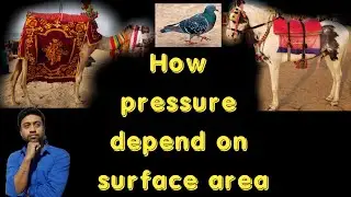 How pressure depend on surface area? Explained using beautiful video. Experiential learning.