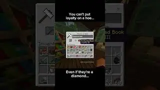 Can I MAKE My Diamond Hoe INVINCIBLE in Minecraft?