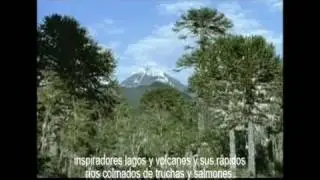 A view of Chile and visit to Montes winery (2006) | Montes Wines
