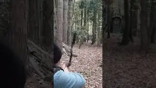 Just Below the 3d Snake's Head from 65 Yards - Bowtech Fuel Compound Bow.