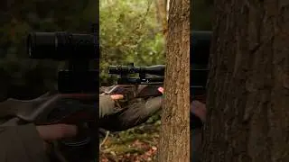 PCP air rifle for hunting. The BSA R12 CLX PRO Wilderness Edition
