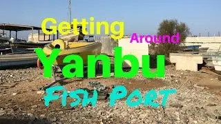 Yanbu Fishport | TipToe Travels