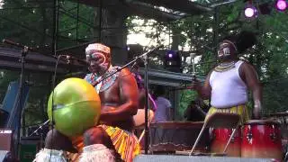 Dizu Plaatjies @ Afrofest 2011 5 8