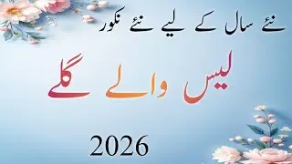 Very Stylish Lace Neck Designs 2026 | New Neck Designs With Laces | New Gala Designs