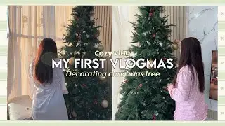 🌷[S1] Mizo vlog 13: Мои первые влогмы прошли не по плану… Но вот и всё 🎄 (ENG)