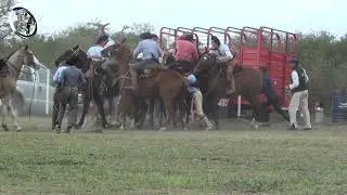 Campereada de apadrinadores en jineteada en Crucesitas S&eacute;ptima Nogoy&aacute; (Entre Rios)