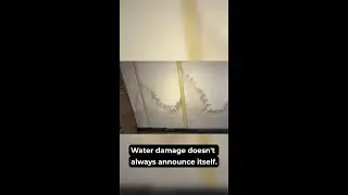 6 Places Water Damage Hides in Pacific Northwest Homes