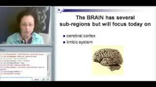 COPOE W2 [2/9] The Mind