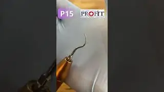 P15 tip EMS / Woodpecker/VRN - skaling poddziąsłowy