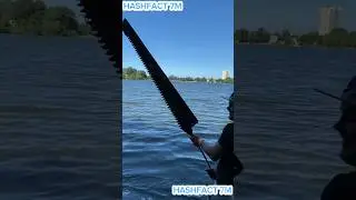 O MY GOD 🙏 Old Aree (Rusty Saw) in River 😱 , magnetic fishing 🎣#amazingmagnets #shortsfeeds