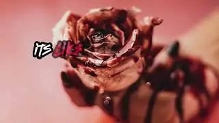 Cutting it Close - Look Me In The Eyes (Official Lyric Video)