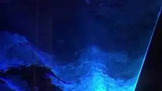 Waterlicht and the CN Tower