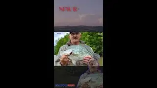New West Virginia Crappie Record! Jerry Porter's Catch of a Lifetime