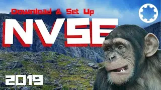 NVSE Download & Set Up
