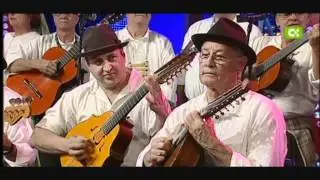 Pal pino-la gala.wmv