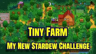 Tiny Farm: My New Stardew Valley Challenge!