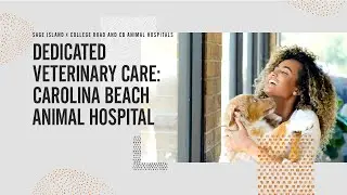 Dedicated Veterinarian Care&ndash;Carolina Beach Animal Hospital Promotional Video