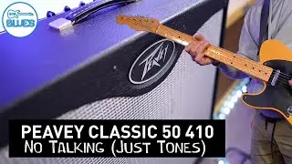 Peavey Classic 50 410 Made in USA Epic Tones (No Talking)
