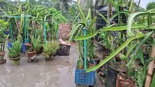 Utpal,s chadbagan