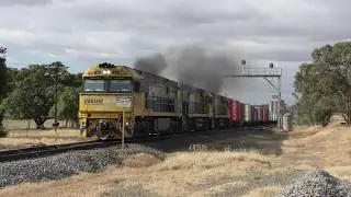 6BM4 - NR100 NR114 NR16 & XPT at The Rock NSW