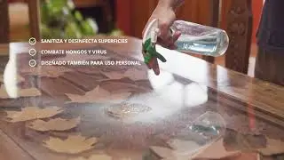 Sanitizante Sales Cuaternarias | Hydro Motors