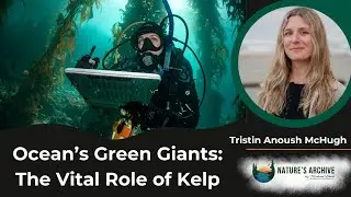 #98: Ocean&rsquo;s Green Giants: The Vital Role of Kelp with Tristin Anoush McHugh