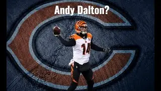 Bears Sign Andy Dalton?