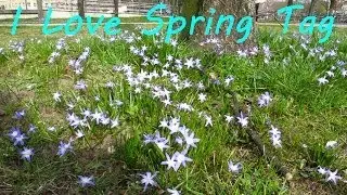 I love Spring Tag