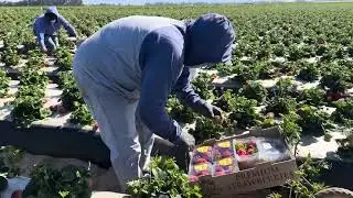 Empezando el año co actitud positiva en el trabajo 🍓🤝👍💯