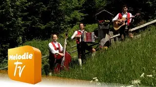 Filzmooser Tanzlmusi - Schenk Blumen Zeit des Lebens (Offizielles Musikvideo)