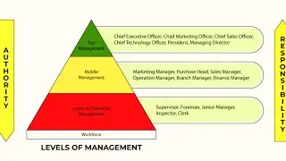 Management Hierarchy/ Levels of Management