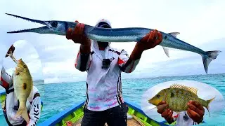 Winter Fishing at Roche Noires - Mauritius - Episode 18