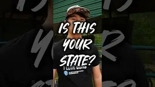 Top 5 States With The HIGHEST Gun Ownership Rate